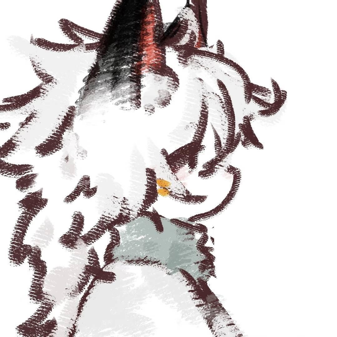 夜翼玖
